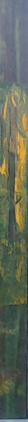 Green hope, 2000, 15x200cm